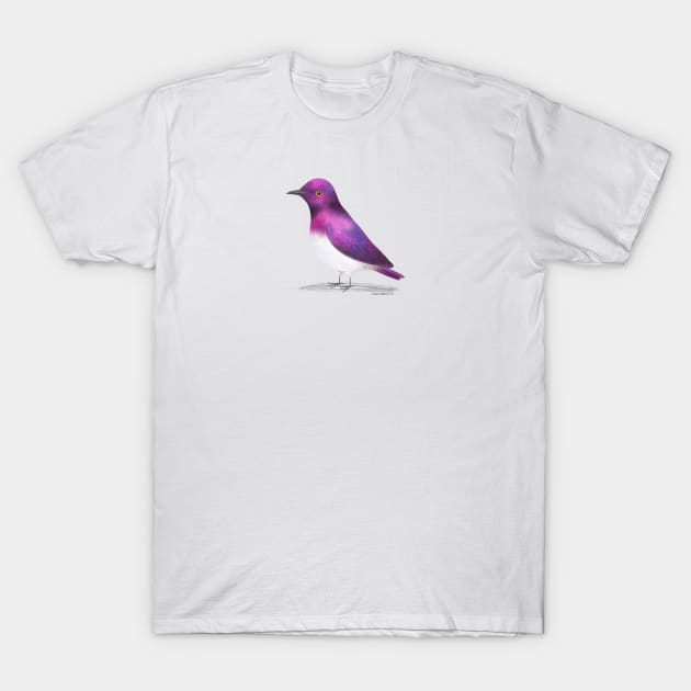 Violet Backed Starling Bird T-Shirt by julianamotzko